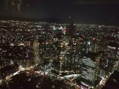 -东京都厅舍