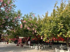 -祥源·阜阳生态乐园