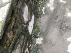 -小八仙·八方(移民广场店)