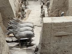 -秦始皇帝陵博物院(兵马俑)