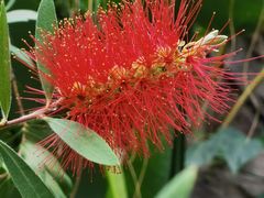 -北京植物园-展览温室