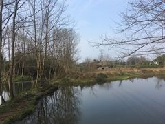 -桤木河湿地公园