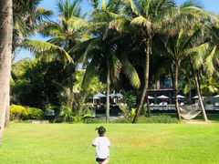 -海南清水湾莱佛士酒店