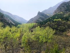 -云岫谷自然风景区