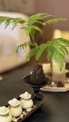-栖SPA·ONDA ·海菲秀·皑皑科技美肤中心