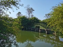 -西溪国家湿地公园