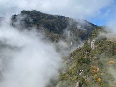 -牛背梁国家森林公园