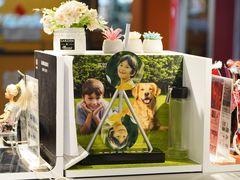 -星光摄影器材城