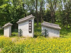 -北坞公园