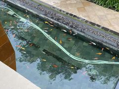 -三亚湾海居铂尔曼度假酒店