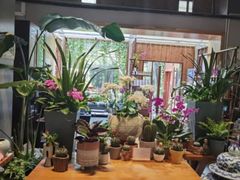 -谷咖啡·鲜花绿植花园餐厅