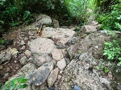 -午潮山国家森林公园