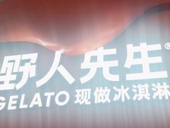 -野人先生现做冰淇淋(北京王府井东方新天地店)