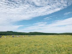 -塞罕坝国家级自然保护区