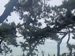 -八大关景区