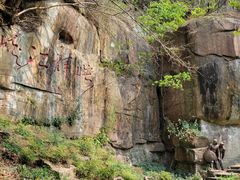 -铁山坪森林公园