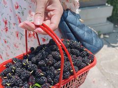 -丝绸小镇荻港古村