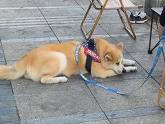 -星海广场