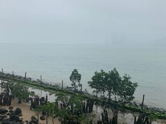 -万绿园