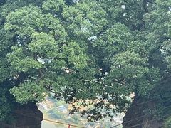 -窦圌山风景区