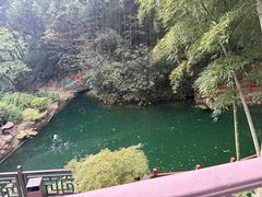 -十八棵（老龙井）御茶园(老龙井店)