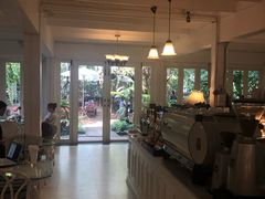 -Fern Forest Cafe