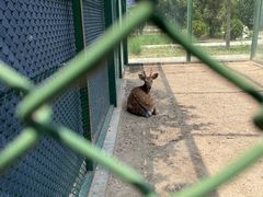 -武清南湖绿博园