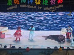 -泉城欧乐堡海洋极地世界