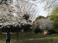 -堤角公园