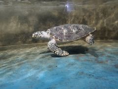 -常州海昌海洋探索馆