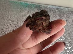 -都士牧人现烤牛肉干