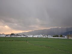 -喜林苑·稻田餐厅(品相府店)
