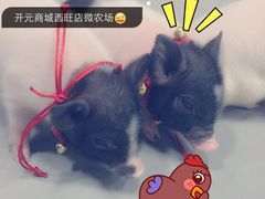-开元商城(西旺店)
