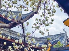 -龙华寺