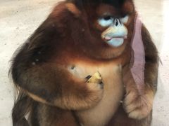 -杭州野生动物世界