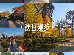 -上海植物园-4号门售票处