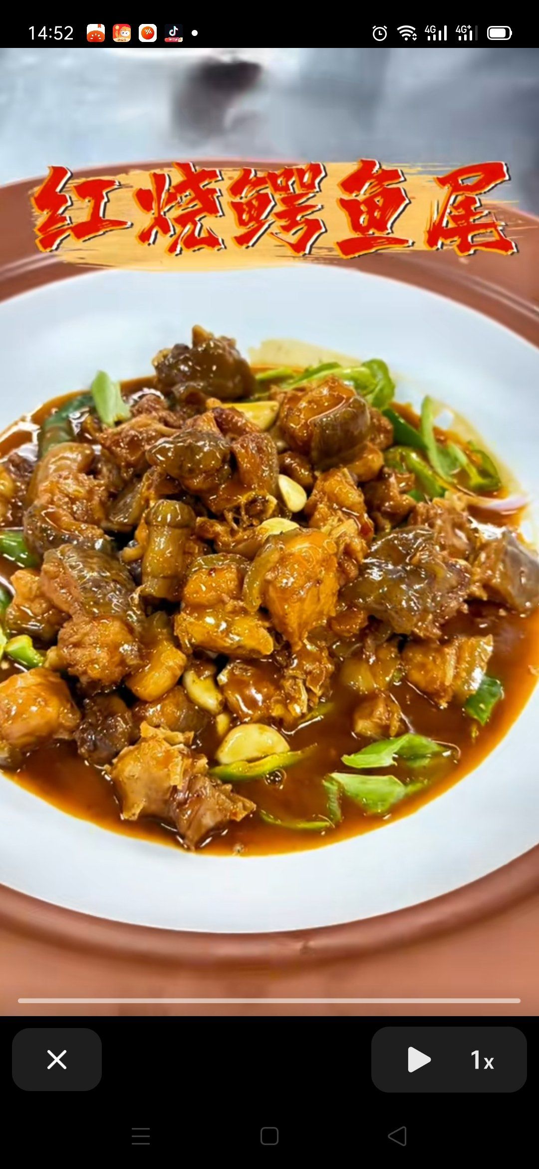 红烧鳄鱼来一个