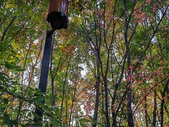 -长春市南湖公园