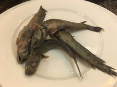 -牡丹国际大酒店-港式茶餐厅