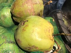 -东椰·海南椰子鸡火锅(朝阳门店)