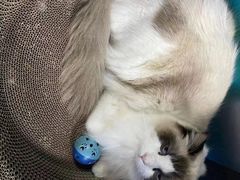 -零纪元VR体验馆·桌游(黄浦店)