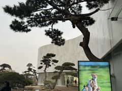 -罗红摄影艺术馆