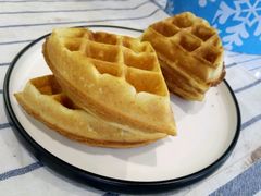 -吉丁鸟咖·异宠·寄养