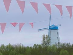 -莱阳濯村樱花园