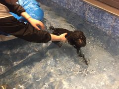 -Oh My Dog宠物沙龙(伊珊娜皮毛护理店)