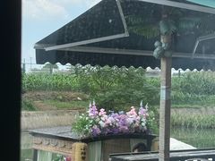 -小陆莲花蟹园农家乐(莲花岛店)
