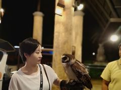 -清迈夜间动物园