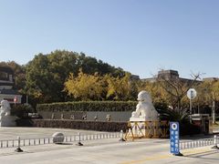 -华东政法大学(松江校区)