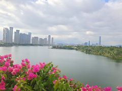 -厦门园林博览苑
