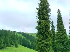 -新疆那拉提国家旅游度假区